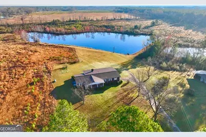 651 Yancey Road, Rhine, GA 31077 - Photo 1