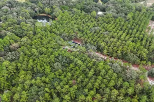 1334 Emma Ln SE, Townsend, GA 31331 - Photo 25