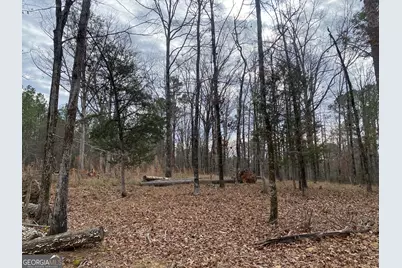 0 Paradise Street, Lincolnton, GA 30817 - Photo 3