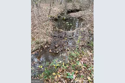 00 Hebron Church Road #1, Thomaston, GA 30286 - Photo 5