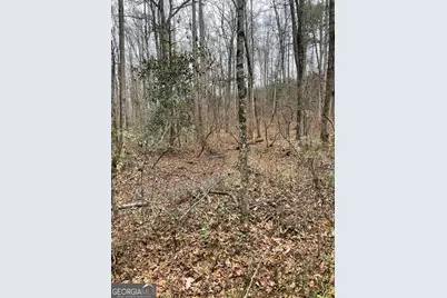 00 Hebron Church Road #1, Thomaston, GA 30286 - Photo 9