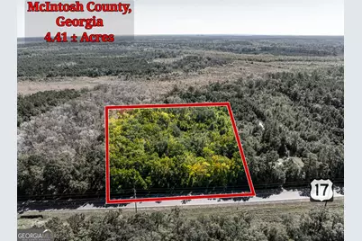 4.41 Acres Highway 17, Townsend, GA 31331 - Photo 1