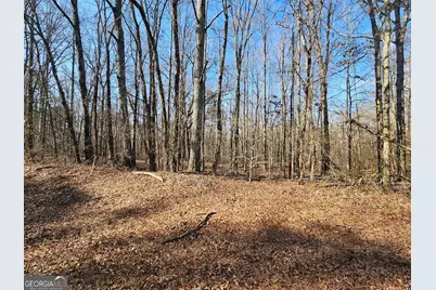 Lot 3 Manning Gin Road, Winder, GA 30680 - Photo 1