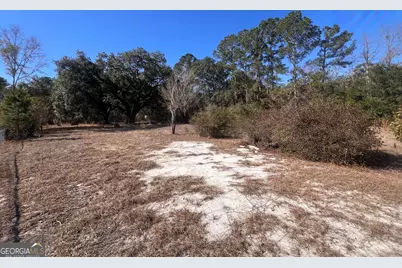 145 Cherrie Murrell Road, Hinesville, GA 31313 - Photo 1