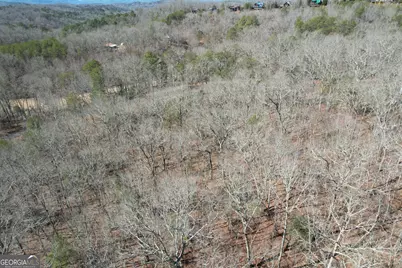 0 Curtis Switch Road, Mineral Bluff, GA 30559 - Photo 1