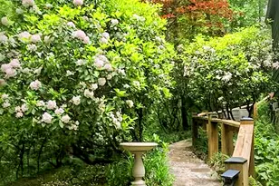 91 Rose Cir, Clayton, GA 30525 - Photo 37