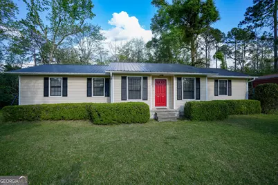 580 Limestone Street, Mount Vernon, GA 30445 - Photo 1