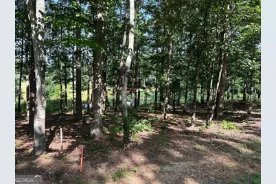 1117 Rome Beauty, Clarkesville, GA 30523 - Photo 13
