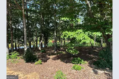 1117 Rome Beauty, Clarkesville, GA 30523 - Photo 17