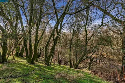 1 Pacific Heights, Oroville, CA 95965 - Photo 15