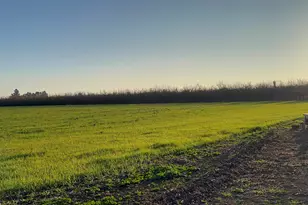 1290 Orange Ave, Patterson, CA 95363 - Photo 33