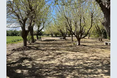 1290 Orange Ave, Patterson, CA 95363 - Photo 7