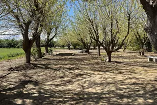 1290 Orange Ave, Patterson, CA 95363 - Photo 7