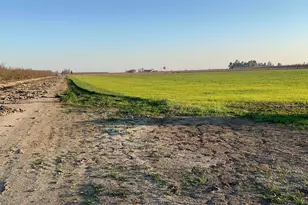 1290 Orange Ave, Patterson, CA 95363 - Photo 27