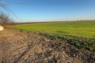 1290 Orange Ave, Patterson, CA 95363 - Photo 29