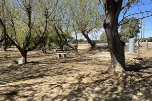 1290 Orange Ave, Patterson, CA 95363 - Photo 11