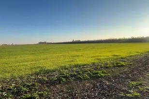 1290 Orange Ave, Patterson, CA 95363 - Photo 35