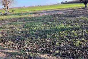 1290 Orange Ave, Patterson, CA 95363 - Photo 17