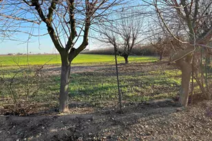 1290 Orange Ave, Patterson, CA 95363 - Photo 17