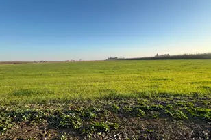 1290 Orange Ave, Patterson, CA 95363 - Photo 33