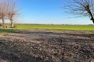 1290 Orange Ave, Patterson, CA 95363 - Photo 19