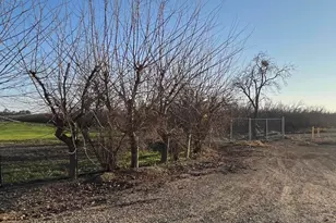 1290 Orange Ave, Patterson, CA 95363 - Photo 23