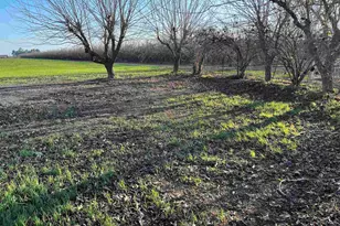 1290 Orange Ave, Patterson, CA 95363 - Photo 15