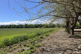 1290 Orange Ave, Patterson, CA 95363 - Photo 9