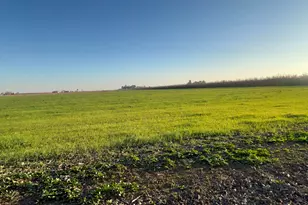 1290 Orange Ave, Patterson, CA 95363 - Photo 31