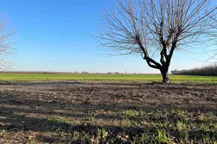 1290 Orange Ave, Patterson, CA 95363 - Photo 19