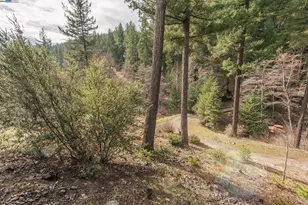 540 Lost Bridge Rd, Lewiston, CA 96052 - Photo 31