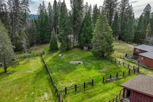 11417 Red Dog Rd, Nevada City, CA 95959 - Photo 43