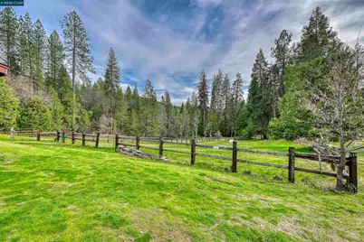 11417 Red Dog Rd, Nevada City, CA 95959 - Photo 55