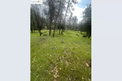 13095 Fox Ct, Groveland, CA 95321 - Photo 15