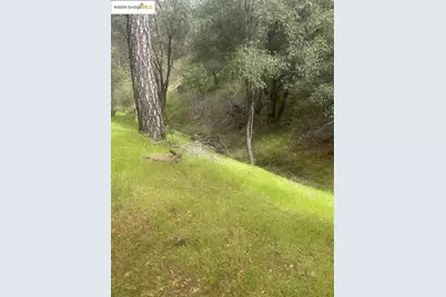 13095 Fox Ct, Groveland, CA 95321 - Photo 13