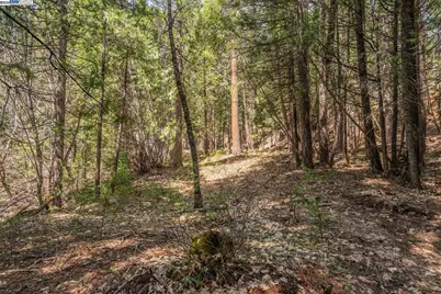 121 Mountain Aire Ln, Trinity Center, CA 96091 - Photo 51