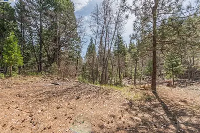 121 Mountain Aire Ln, Trinity Center, CA 96091 - Photo 43