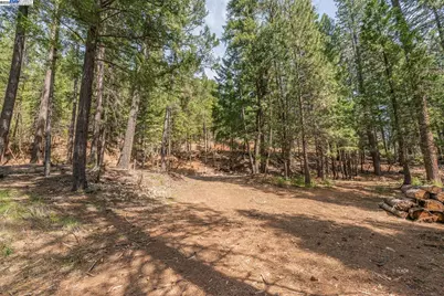 121 Mountain Aire Ln, Trinity Center, CA 96091 - Photo 47