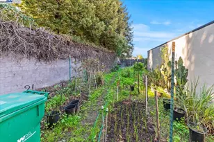 462 Craven Ct, Hayward, CA 94541 - Photo 19