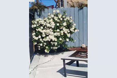 3532 San Leandro St, Oakland, CA 94601 - Photo 9