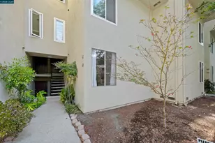 2712 Oak Rd, Walnut Creek, CA 94597 - Photo 5