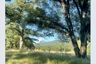 16 Paul Place, Bangor, CA 95914 - Photo 21