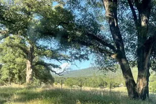 16 Paul Pl, Bangor, CA 95914 - Photo 21