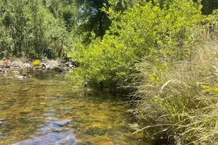 16 Paul Pl, Bangor, CA 95914 - Photo 33