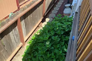 1920 Geneva Ln, Antioch, CA 94509 - Photo 11