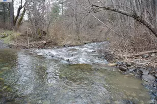 4990 Indian Creek Rd, Douglas City, CA 96024 - Photo 31