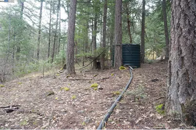 4990 Indian Creek Rd, Douglas City, CA 96024 - Photo 19