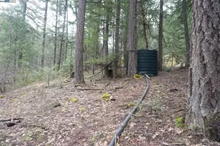 4990 Indian Creek Rd, Douglas City, CA 96024 - Photo 19