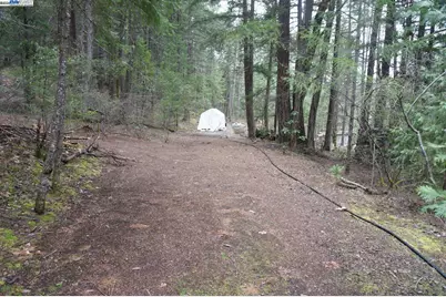 4990 Indian Creek Rd, Douglas City, CA 96024 - Photo 25