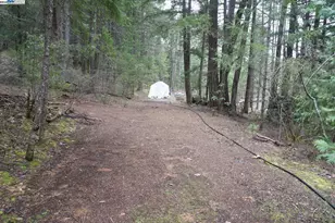 4990 Indian Creek Rd, Douglas City, CA 96024 - Photo 25